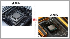 Am4 Vs Am5