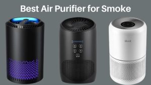 Best Air Purifier for Smoke