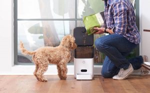 best smart pet feeder