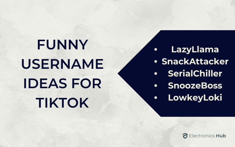 Funny Username Ideas For TikTok