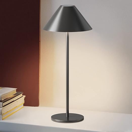 FUNTAPHANTA LED Rechargeable Cordless Table Lamp