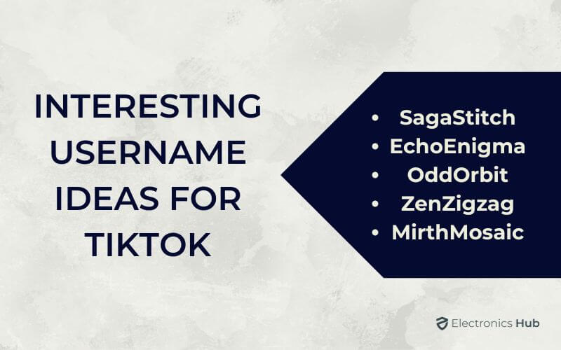 Interesting Username Ideas For TikTok