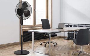 Pedestal Remote Control Fan