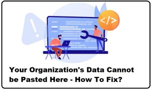 Your Organizations Data Cannot be Pasted Here