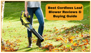 best cordless leaf blowers