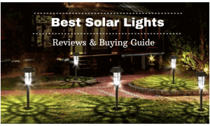 Best Solar Lights